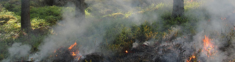Shed Bushfire Zones and BAL Assessments